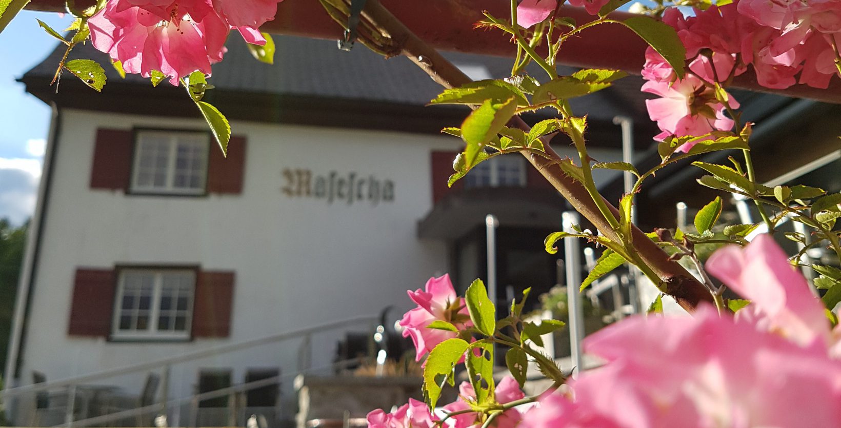 Berggasthaus Masescha